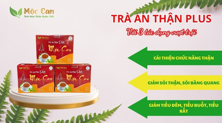 KIM TIỀN THẢO - KHẮC TINH CỦA BỆNH SỎI THẬN 2